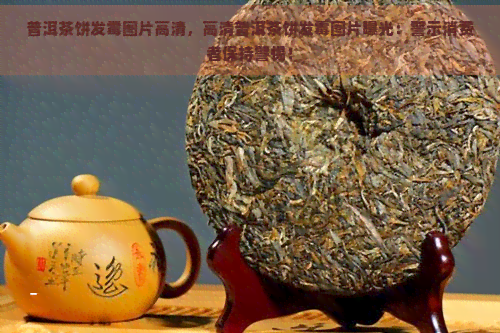 普洱茶饼发霉图片高清，高清普洱茶饼发霉图片曝光：警示消费者保持警惕！