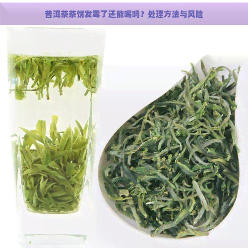 普洱茶茶饼发霉了还能喝吗？处理方法与风险