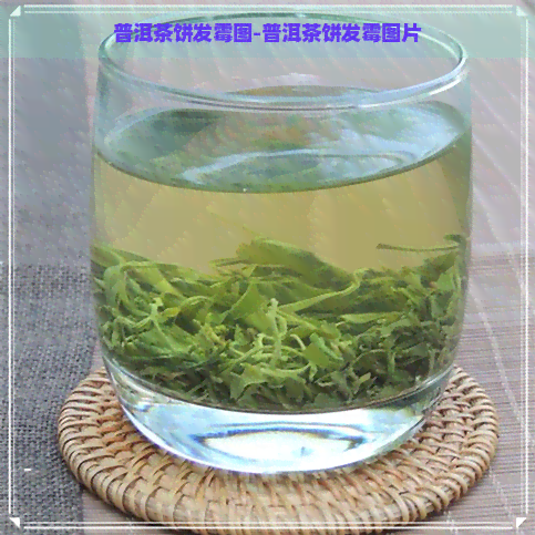 普洱茶饼发霉图-普洱茶饼发霉图片