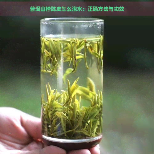 普洱山楂陈皮怎么泡水：正确方法与功效