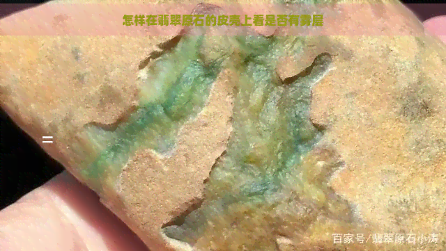 怎样在翡翠原石的皮壳上看是否有雾层