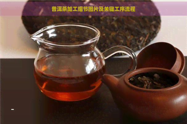 普洱茶加工细节图片及关键工序流程