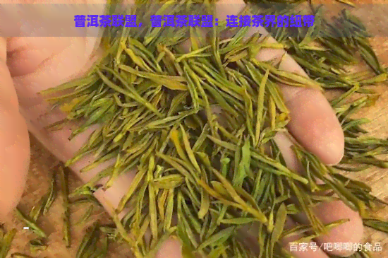 普洱茶联盟，普洱茶联盟：连接茶界的纽带