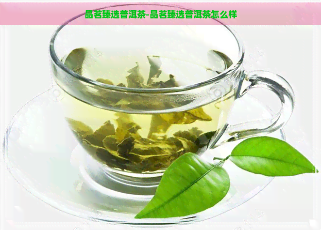 品茗臻选普洱茶-品茗臻选普洱茶怎么样