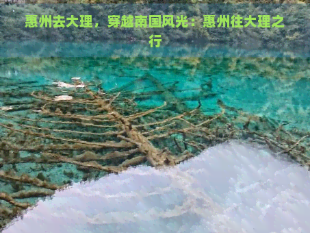 惠州去大理，穿越南国风光：惠州往大理之行