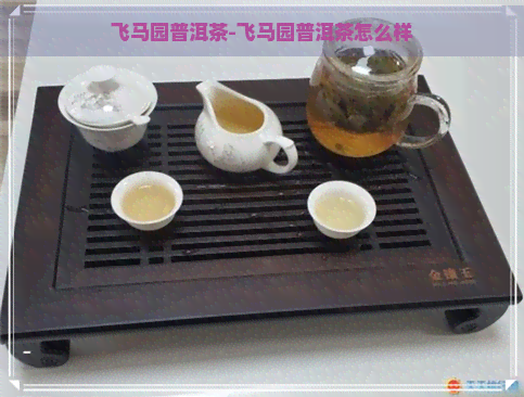 飞马园普洱茶-飞马园普洱茶怎么样