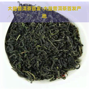 大益普洱茶首发-大益普洱茶首发产地