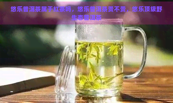 悠乐普洱茶属于红茶吗，悠乐普洱茶贵不贵，悠乐顶级野生态普洱茶