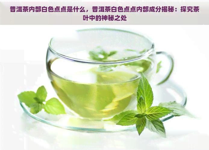 普洱茶内部白色点点是什么，普洱茶白色点点内部成分揭秘：探究茶叶中的神秘之处