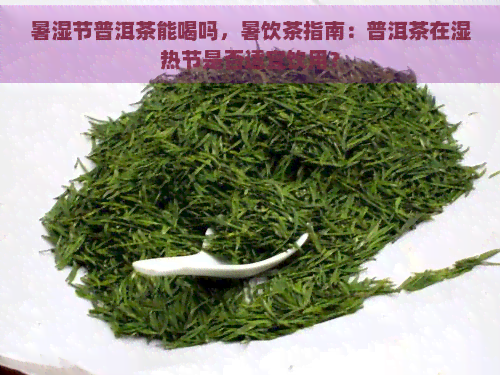 暑湿节普洱茶能喝吗，暑饮茶指南：普洱茶在湿热节是否适宜饮用？