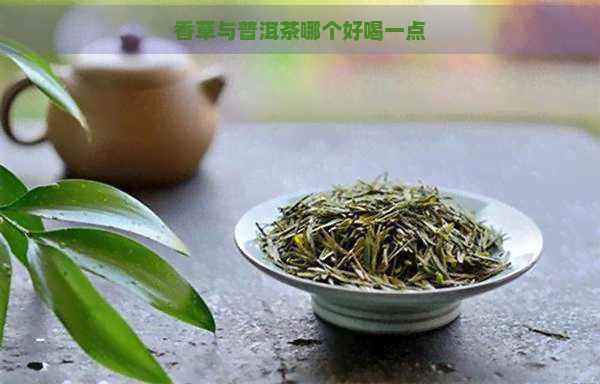 香草与普洱茶哪个好喝一点