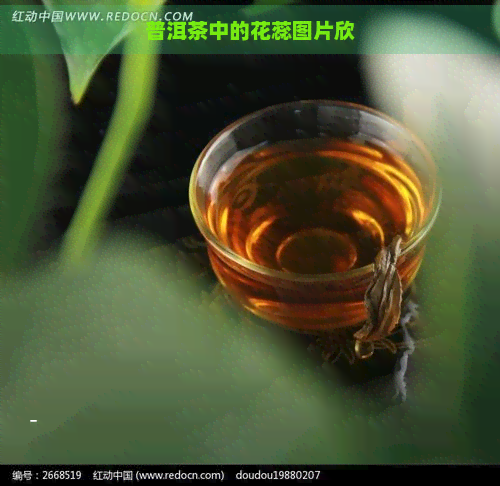 普洱茶中的花蕊图片欣