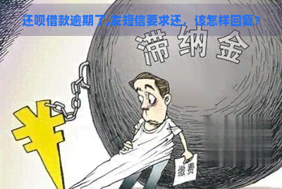 还呗借款逾期了,发短信要求还，该怎样回复？