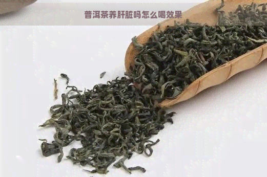 普洱茶养肝脏吗怎么喝效果