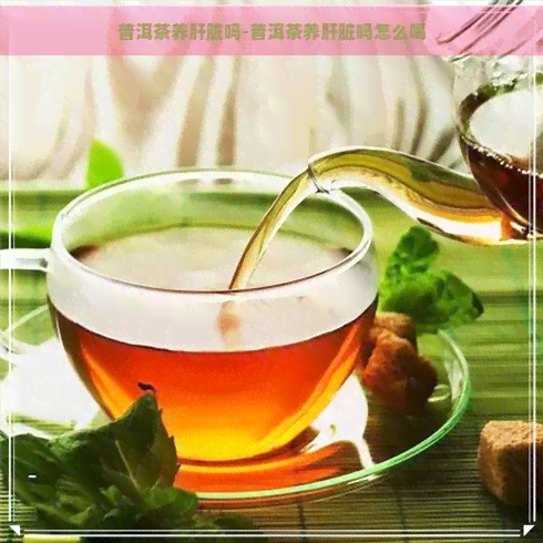 普洱茶养肝脏吗-普洱茶养肝脏吗怎么喝