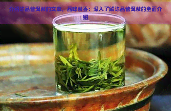 介绍陈品普洱茶的文章，品味茶香：深入了解陈品普洱茶的全面介绍