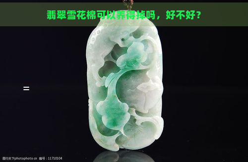 翡翠雪花棉可以养得掉吗，好不好？