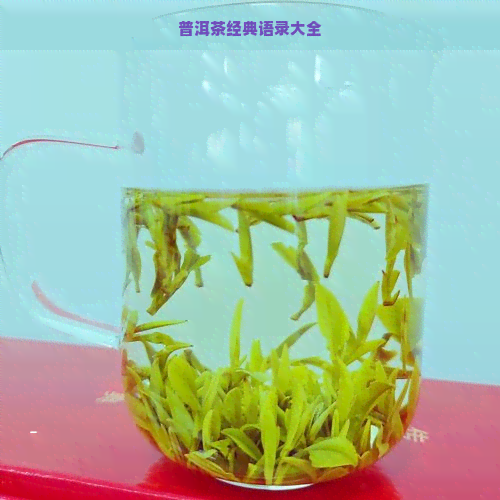 普洱茶经典语录大全