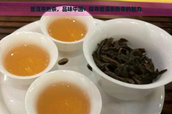 普洱茶热茶，品味中国：探寻普洱茶热茶的魅力