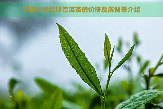 不同年代红印普洱茶的价格及历背景介绍