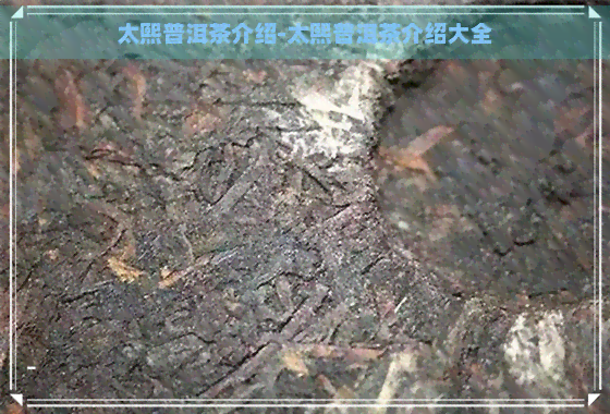 太熙普洱茶介绍-太熙普洱茶介绍大全