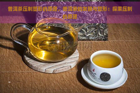 普洱茶压制塑形的原理，普洱茶的发酵与塑形：探索压制的原理