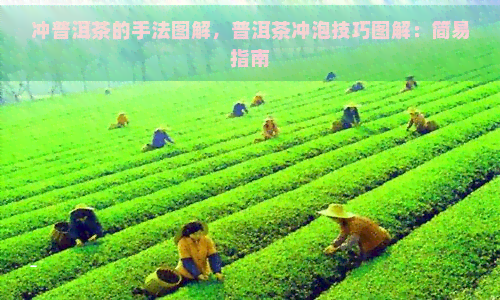 冲普洱茶的手法图解，普洱茶冲泡技巧图解：简易指南