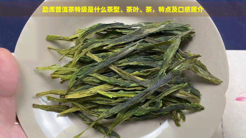 勐库普洱茶特级是什么茶型、茶叶、茶，特点及口感简介