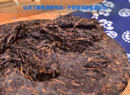 认识了解普洱茶作文：介绍普洱茶及其认识