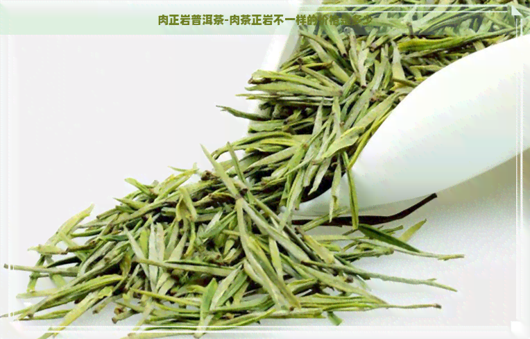 肉正岩普洱茶-肉茶正岩不一样的价格是多少