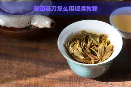 普洱茶刀怎么用视频教程