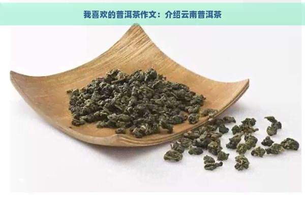 我喜欢的普洱茶作文：介绍云南普洱茶