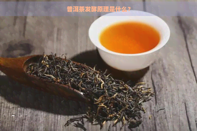 普洱茶发酵原理是什么？