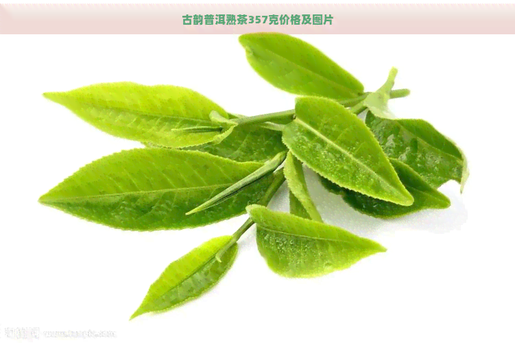 古韵普洱熟茶357克价格及图片