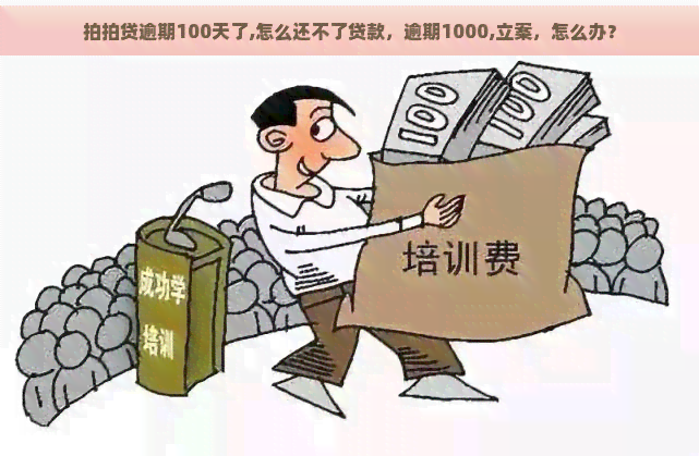 逾期100天了,怎么还不了贷款，逾期1000,立案，怎么办？