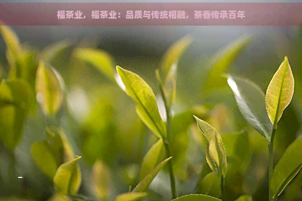 福茶业，福茶业：品质与传统相融，茶香传承百年