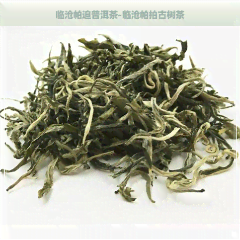 临沧帕迫普洱茶-临沧帕拍古树茶