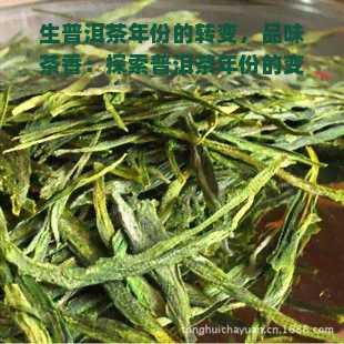 生普洱茶年份的转变，品味茶香：探索普洱茶年份的变迁