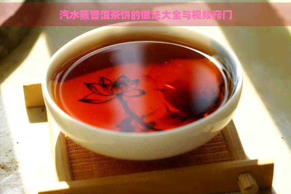 汽水蒸普洱茶饼的做法大全与视频窍门