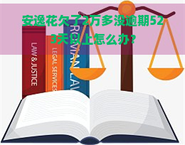 安逸花欠了2万多没逾期523天以上怎么办？