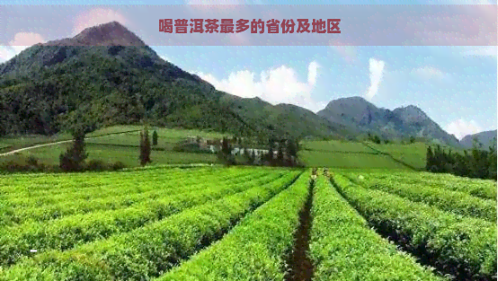 喝普洱茶最多的省份及地区