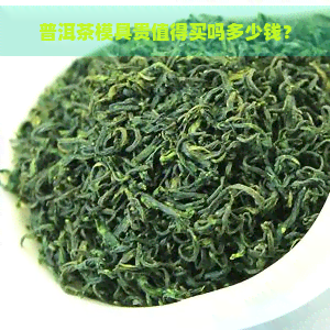 普洱茶模具贵值得买吗多少钱？