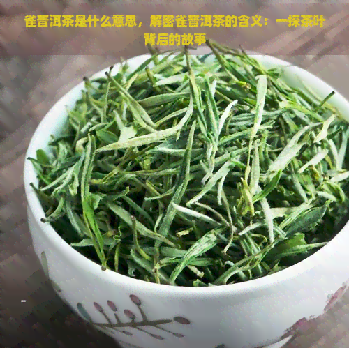 雀普洱茶是什么意思，解密雀普洱茶的含义：一探茶叶背后的故事