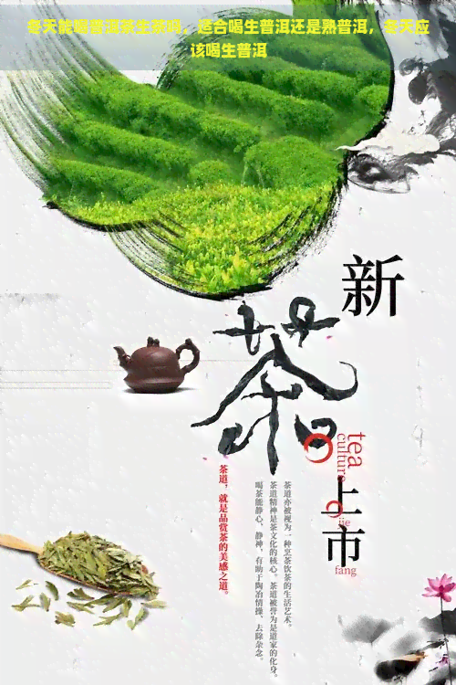 冬天能喝普洱茶生茶吗，适合喝生普洱还是熟普洱，冬天应该喝生普洱