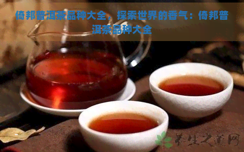 倚邦普洱茶品种大全，探索世界的香气：倚邦普洱茶品种大全