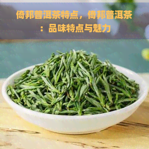 倚邦普洱茶特点，倚邦普洱茶：品味特点与魅力