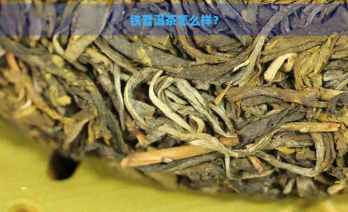 铁普洱茶怎么样？