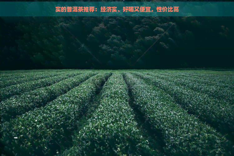 实的普洱茶推荐：经济实、好喝又便宜，性价比高