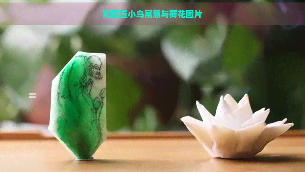 和田玉小鸟寓意与荷花图片