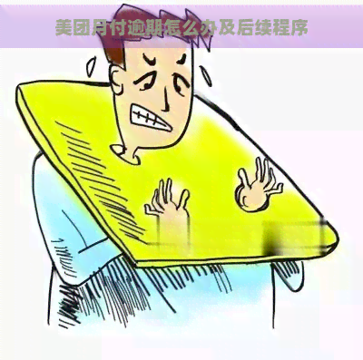 美团月付逾期怎么办及后续程序